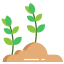 Herbal garden greenery