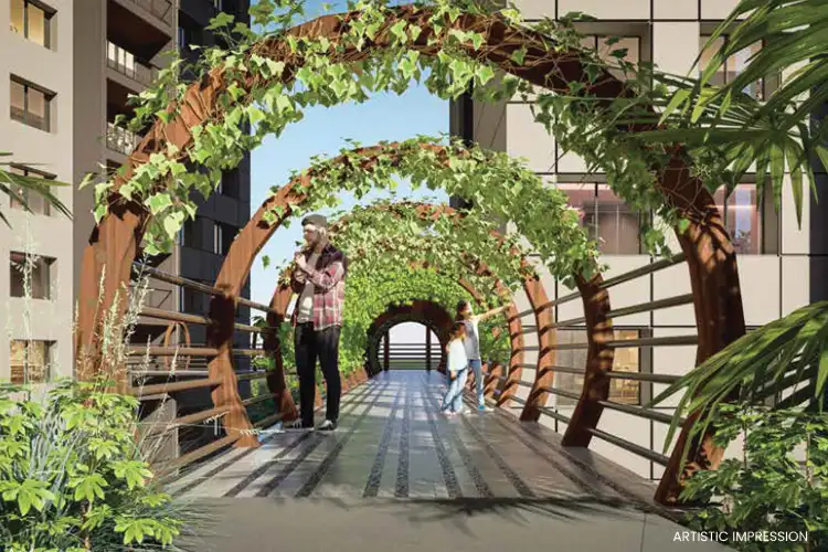 Garden pathway with pergola walkway